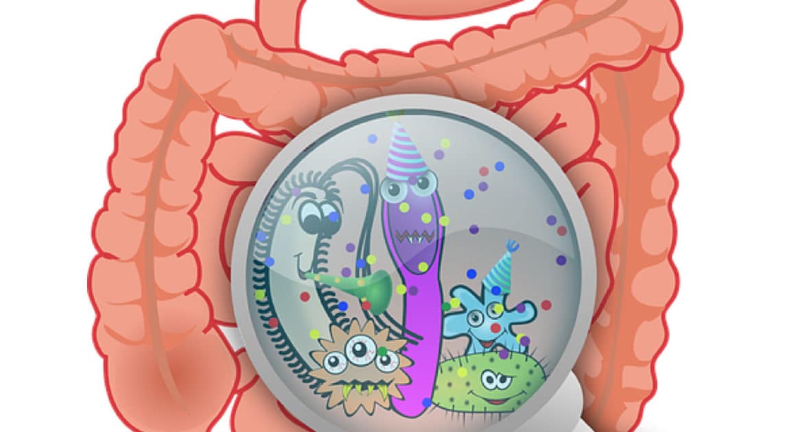 illustration loufoque d'un intestin