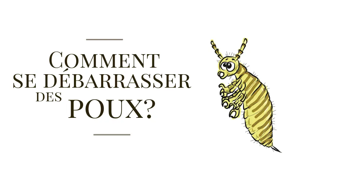 Image avec un dessin de poux et un texte: Comment se débarrasser des poux?