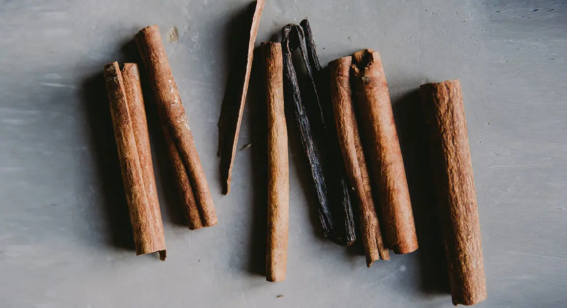 bâtons de cannelle sur fond gris foncé