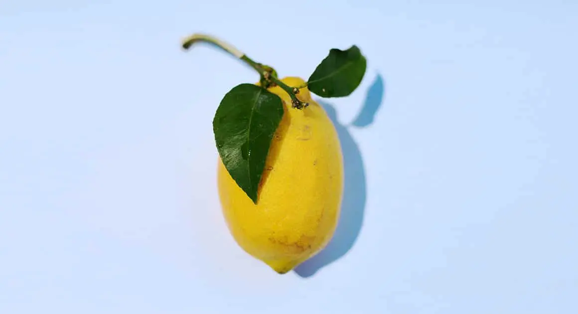 citron avec tige et feuille verte sur fond blanc